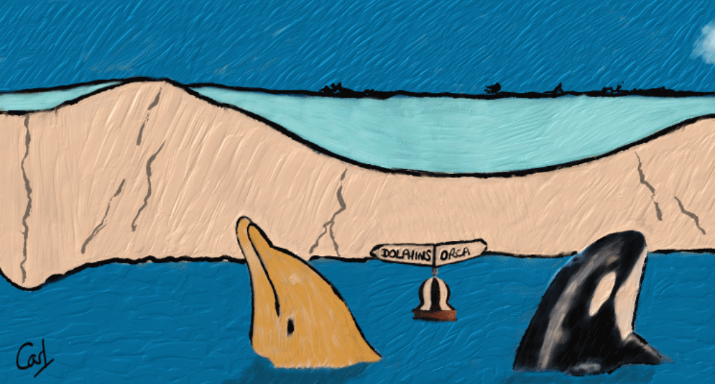 A buoy sways in the sea water in front of the coastal cliff. On it, a sign points left for dolphins and right for orca. And a dolphin and orca are seen in the foreground reading the sign.